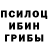 Псилоцибиновые грибы Psilocybe Abigail Luchtenburg