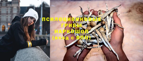 мдпв Липки