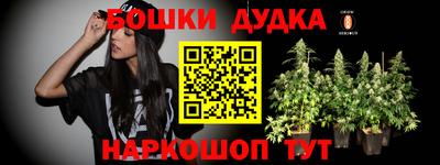 молекула духа Бийск