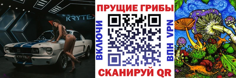 Галлюциногенные грибы GOLDEN TEACHER  Маркс 