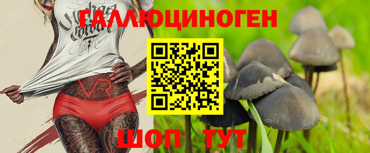 Псилоцибиновые грибы прущие грибы Маркс