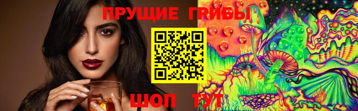 Псилоцибиновые грибы Psilocybe  Вход с VPN  Маркс 